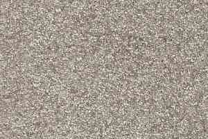 Ковролин AW Invictus Romelus 49 фото  | FLOORDEALER