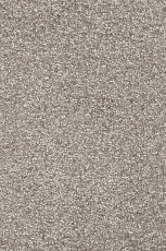 Ковролин AW Invictus Romelus 49 фото 1 | FLOORDEALER