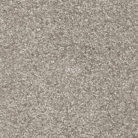 Ковролин AW Invictus Romelus 49 фото 1 | FLOORDEALER