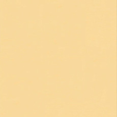 Настенное покрытие Tarkett Wallgard Rolls Yellow фото 1 | FLOORDEALER