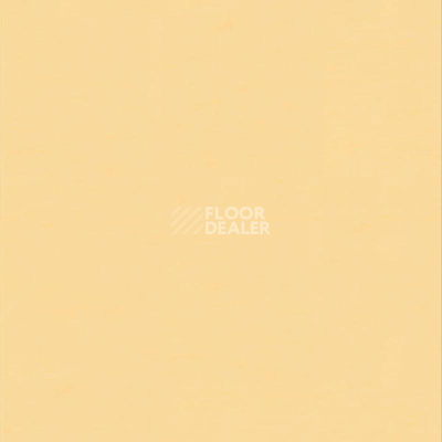 Линолеум Настенное покрытие Tarkett Wallgard Rolls Yellow фото 1 | FLOORDEALER