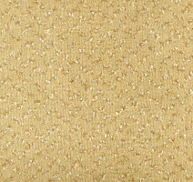 Ковролин Vorwerk Allegro 2d00 фото 1 | FLOORDEALER