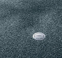 Ковролин Vorwerk Superior 1064/Lyrica Vorwerk 3q60 фото 1 | FLOORDEALER