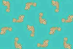 Ковролин Halbmond Step by Step 2 27715 фото  | FLOORDEALER