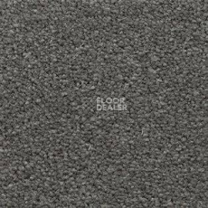 Ковролин AW Souplesse 97 фото 1 | FLOORDEALER