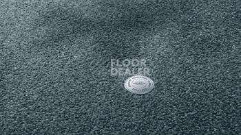 Ковролин Vorwerk Superior 1064/Lyrica Vorwerk 3q60 фото 1 | FLOORDEALER
