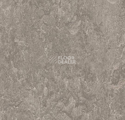 Кварцвиниловые полы Marmoleum Modular Marble 3146 фото 1 | FLOORDEALER