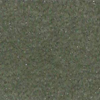 Ковролин Shaw all That Jazz 21331 фото 1 | FLOORDEALER