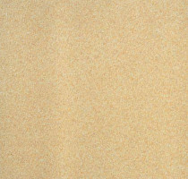 Линолеум Lg Calmpasso CP 93401 фото 1 | FLOORDEALER