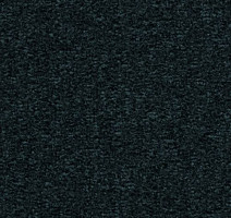 Ковролин Desso Mila-Brlm 9990 фото 1 | FLOORDEALER