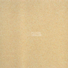 Линолеум Lg Calmpasso CP 93401 фото 1 | FLOORDEALER