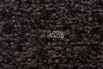 Balsan Serenite 790 фото 3 | FLOORDEALER