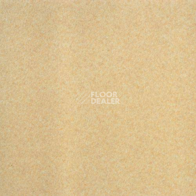 Линолеум Lg Calmpasso CP 93401 фото 1 | FLOORDEALER