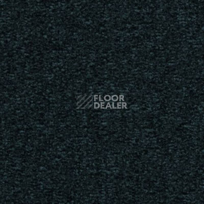 Ковролин Desso Mila-Brlm 9990 фото 1 | FLOORDEALER