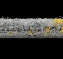 ColorKey ColorKey a 03 фото 3 | FLOORDEALER