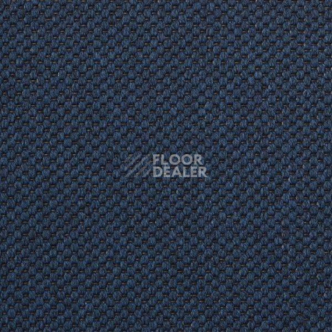 Ковролин Carpet Concept Yve 2 6407 фото 1 | FLOORDEALER