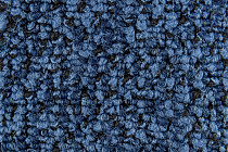 Balsan Take a Walk 190 Take a Walk фото 3 | FLOORDEALER