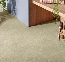 Vorwerk Superior 1072/Nutria Comfort Vorwerk 8j90 фото 2 | FLOORDEALER
