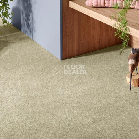 Vorwerk Superior 1072/Nutria Comfort Vorwerk 8j90 фото 2 | FLOORDEALER