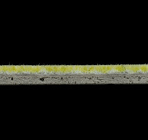 Flotex Colour s 290014 Calgary Lime фото 3 | FLOORDEALER