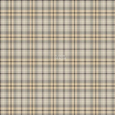 Agnella Natural Grafit Light Grey фото 1 | FLOORDEALER