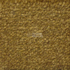 Ковролин Emphatic Beaulieu of America 56324 фото 1 | FLOORDEALER