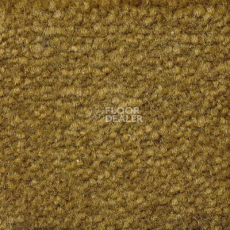 Ковролин Emphatic Beaulieu of America 56324 фото 1 | FLOORDEALER