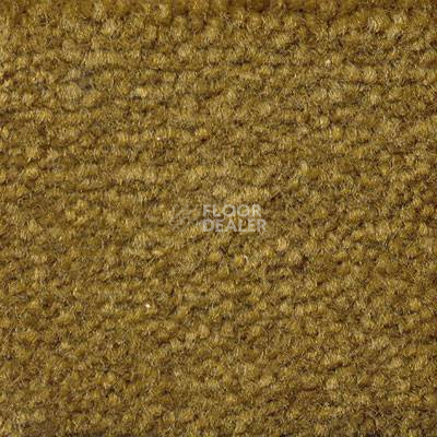 Ковролин Emphatic Beaulieu of America 56324 фото 1 | FLOORDEALER