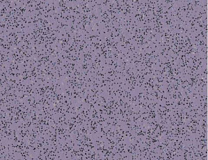 Линолеум Polyflor Polysafe Standard Pur 4580 фото 1 | FLOORDEALER