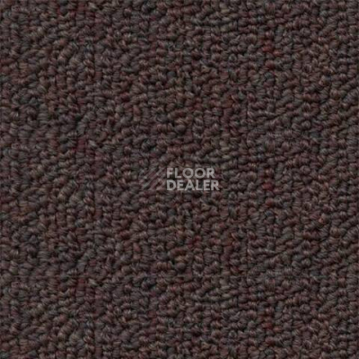 Ковролин Salisbury Beaulieu of America 053 фото 1 | FLOORDEALER