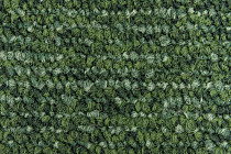 Betap Lake 617 фото 3 | FLOORDEALER