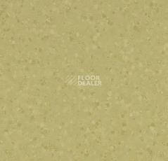 Линолеум Forbo Sphera Element 50065 moss фото 1 | FLOORDEALER