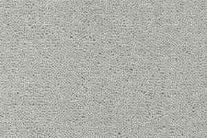 Ковролин Creatuft Sheba 013 Pearl Grey 4 + 5m фото  | FLOORDEALER