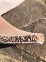 Condor Carpets Phantom Super 105 фото 2 | FLOORDEALER