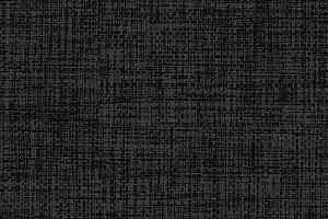 Ковролин Balta ITC Perros 97 фото  | FLOORDEALER