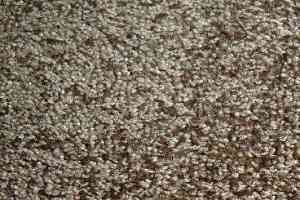 Ковролин Дюна Тафт Ravenna 20 фото  | FLOORDEALER