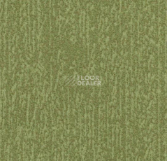 Ковровая плитка Flotex Colour Canyon 50*50 t 545027 Canyon Kelp фото 1 | FLOORDEALER