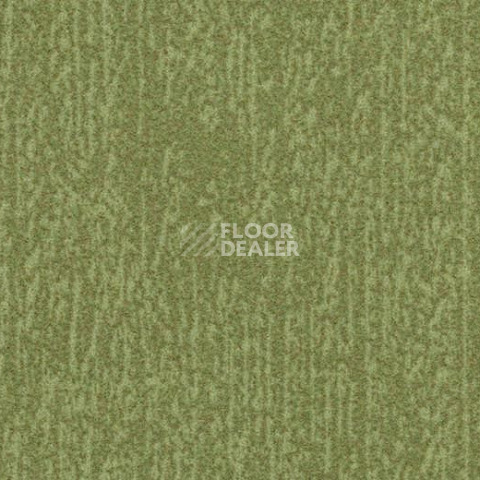 Ковровая плитка Forbo Flotex Colour Canyon 50*50 t 545027 Canyon Kelp фото 1 | FLOORDEALER