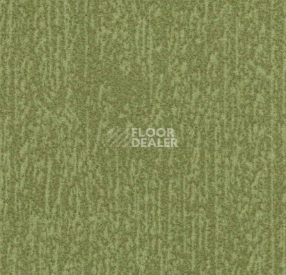 Ковровая плитка Forbo Flotex Colour Canyon 50*50 t 545027 Canyon Kelp фото 1 | FLOORDEALER