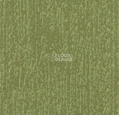 Ковровая плитка Flotex Colour Canyon 50*50 t 545027 Canyon Kelp фото 1 | FLOORDEALER