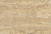 Пробковое покрытие Cork Pro Comprido Vanilla фото 1 | FLOORDEALER