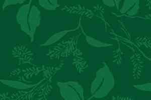 Ковролин Halbmond Classic Selection 42310 a 03 фото  | FLOORDEALER