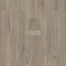 Линолеум Tarkett Titan CHESTER_2 фото 1 | FLOORDEALER