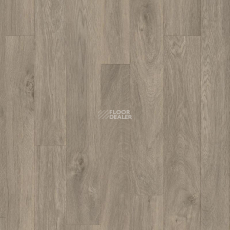 Titan CHESTER_2 фото 1 | FLOORDEALER