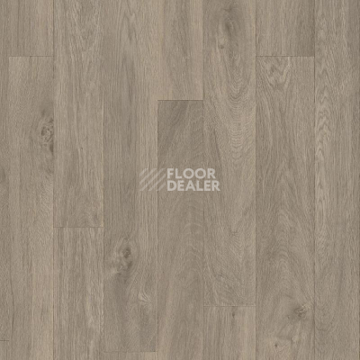 Линолеум Titan CHESTER_2 фото 1 | FLOORDEALER