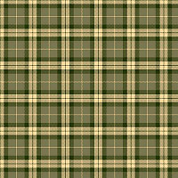 Ковролин Agnella Impulse Tartan Green фото 1 | FLOORDEALER