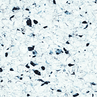 Линолеум Polyflor Finesse Ec 5360 фото 1 | FLOORDEALER