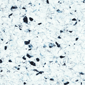 Линолеум Polyflor Finesse Ec 5360 фото 1 | FLOORDEALER