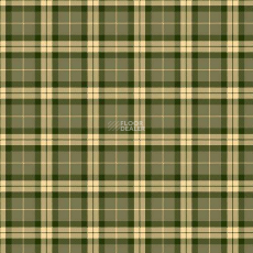 Agnella Impulse Tartan Green фото 1 | FLOORDEALER