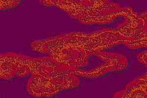 Ковролин Halbmond Step by Step 2 27709. фото  | FLOORDEALER